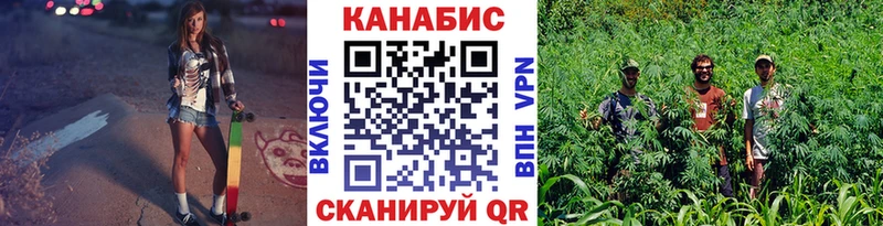 дарнет шоп  блэк спрут ONION  Канабис гибрид  Болотное 